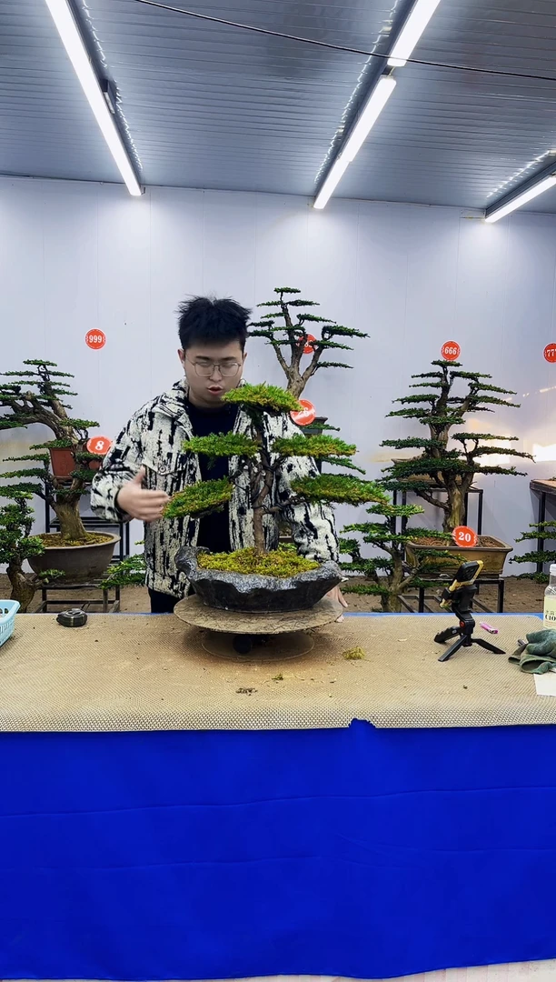 完全开放一物一拍，所见即所得