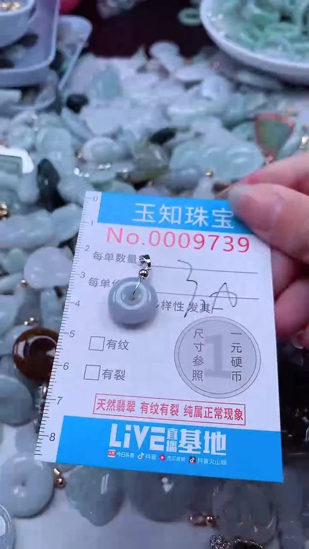 翡翠未镶嵌吊坠(不含链)9739