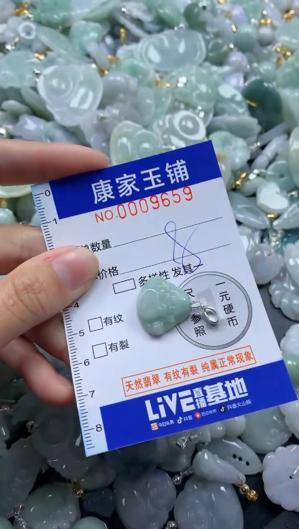 颈饰未镶嵌翡翠9659