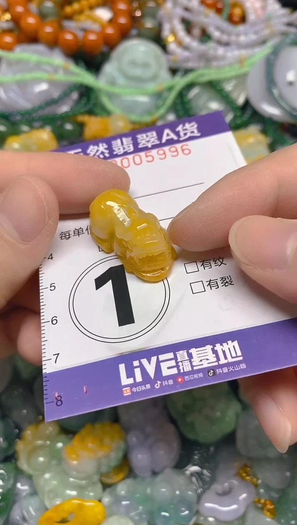 颈饰未镶嵌翡翠0005996