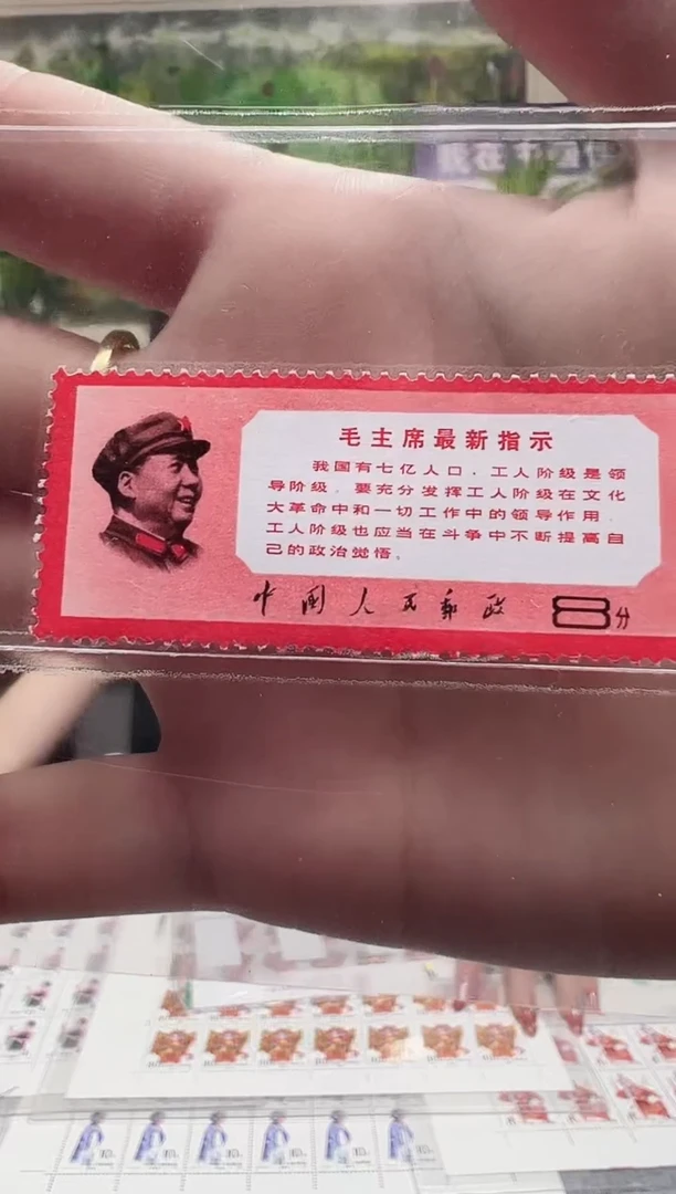 文13 指示套票 封装评级 邮票