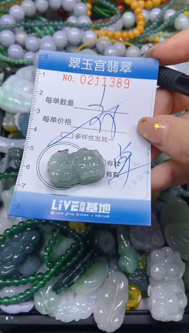 颈饰未镶嵌翡翠闪购C0211389多样性发其一