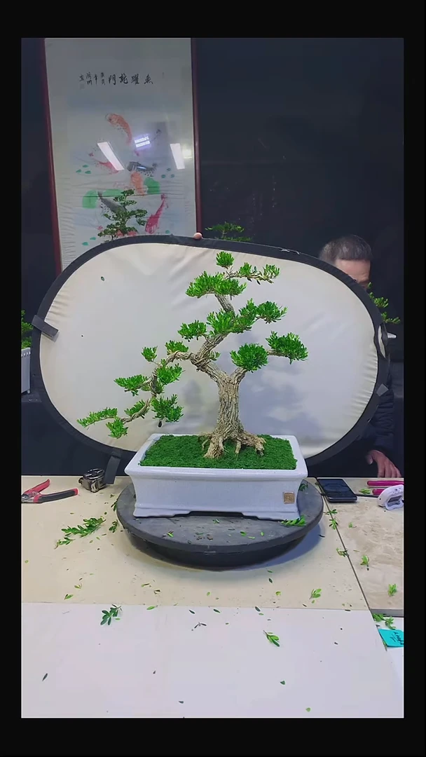 无花朵老*1111111111