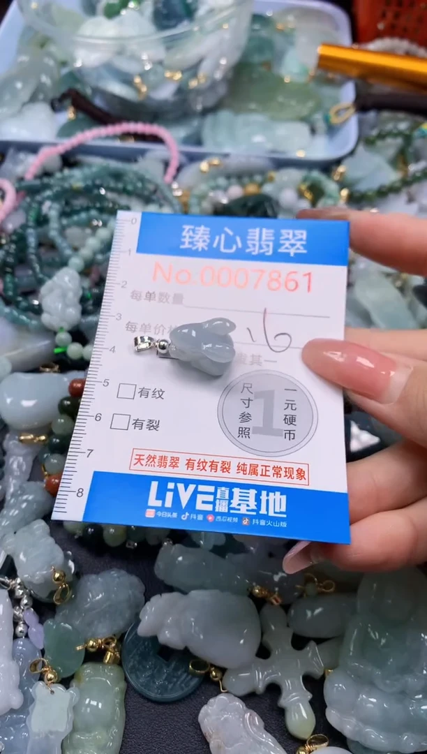 翡翠未镶嵌颈饰7861