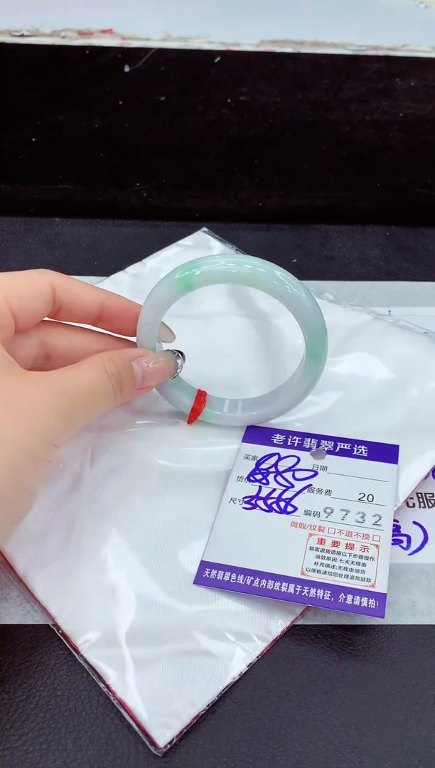 未镶嵌手镯翡翠11