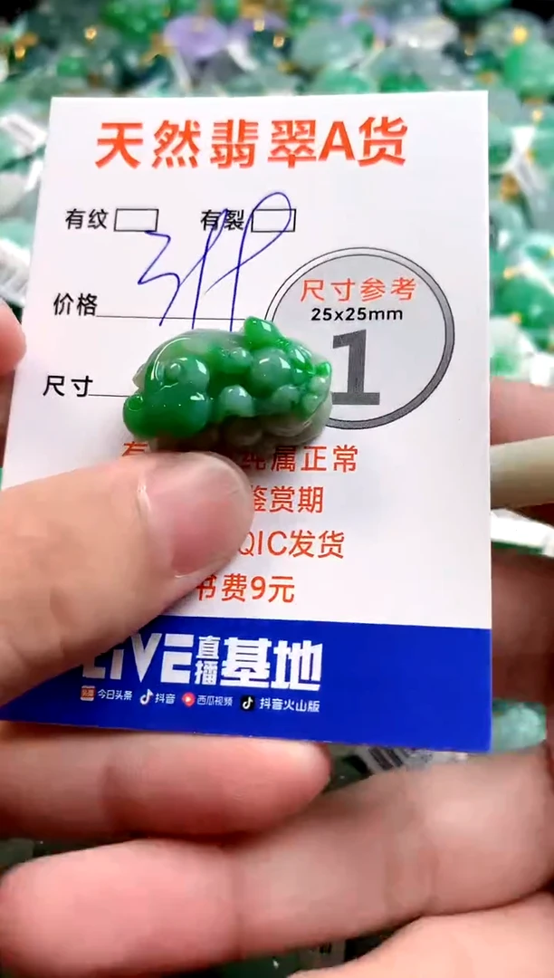 颈饰未镶嵌翡翠0768117149