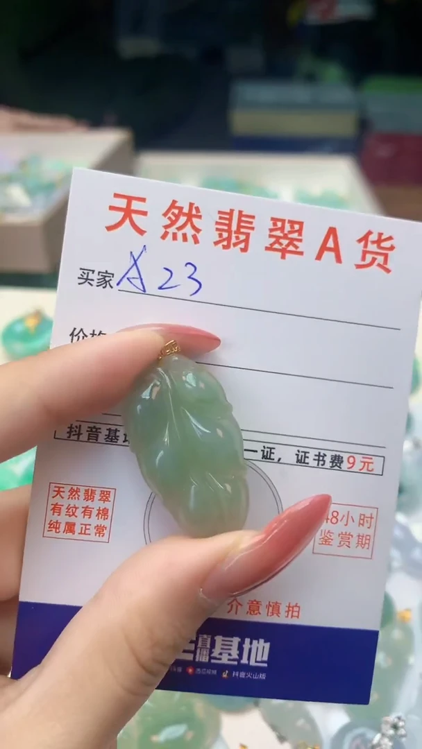 颈饰未镶嵌翡翠纯天然翡翠A货挂件