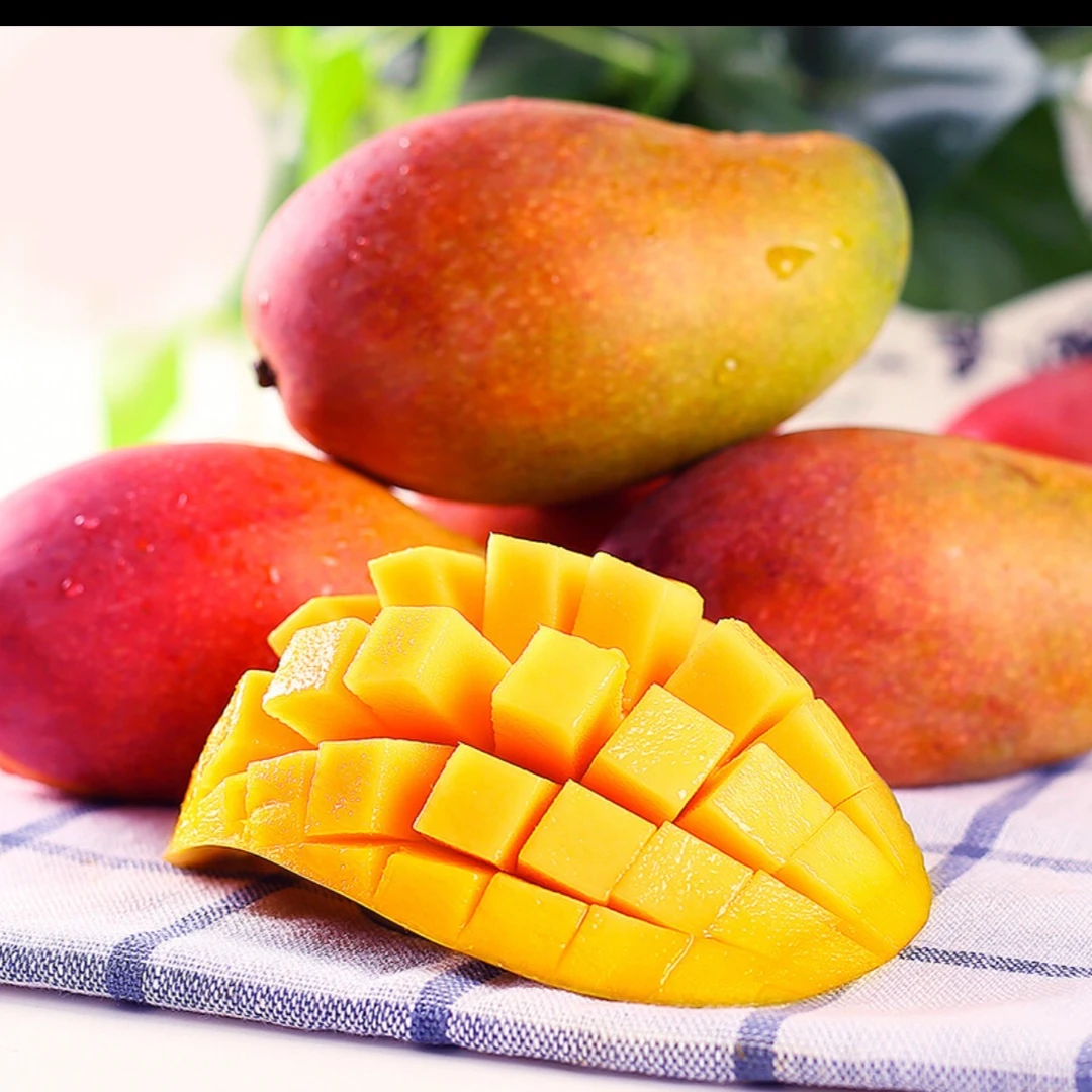 正宗贵妃芒海南芒果新鲜采摘催熟芒果应季水果整箱10斤催熟食用
