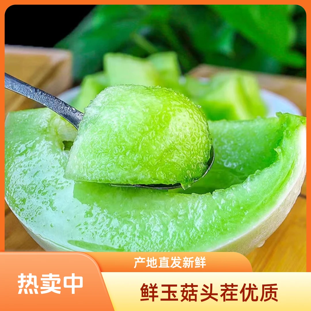 头茬【上海本地新鲜玉菇】5/10/斤净装玉菇