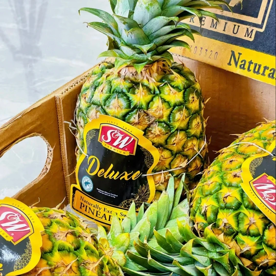 sw蜂蜜凤梨精选大果树上熟果香味浓郁甜度高新鲜