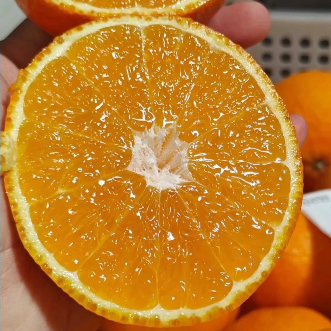 【市场直发】大果果冻橙 6斤装左右