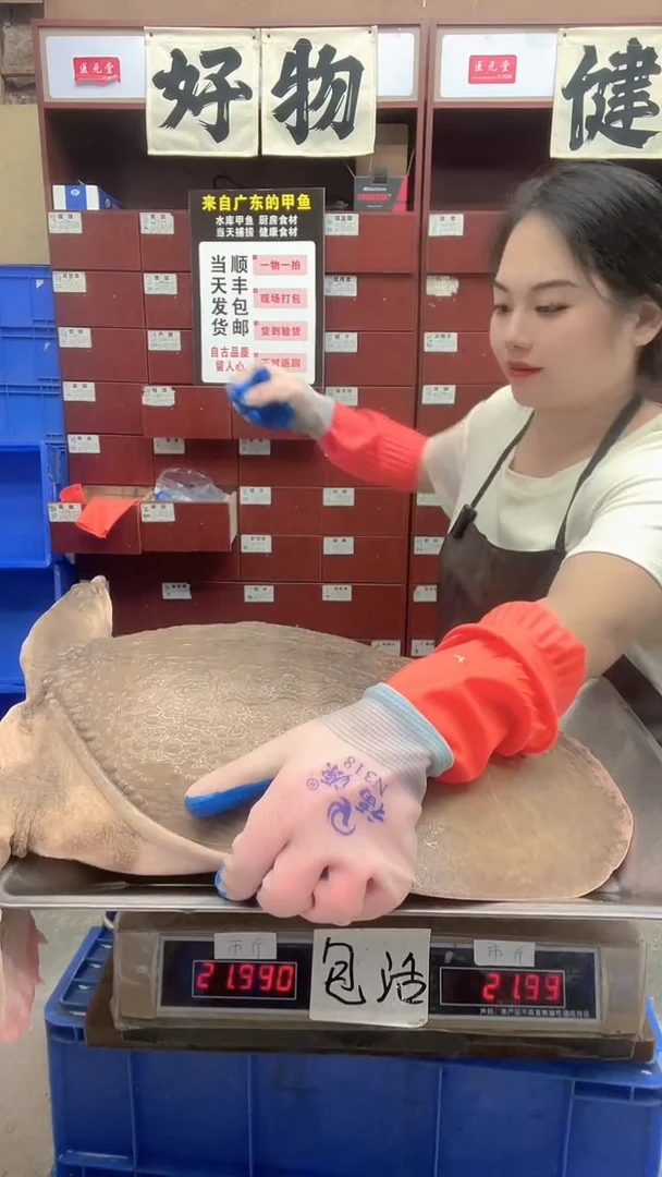 中国大陆肥*培18斤