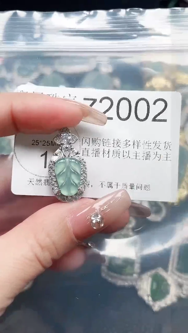 【闪购商品】翡翠颈饰未镶嵌赠皮绳2002
