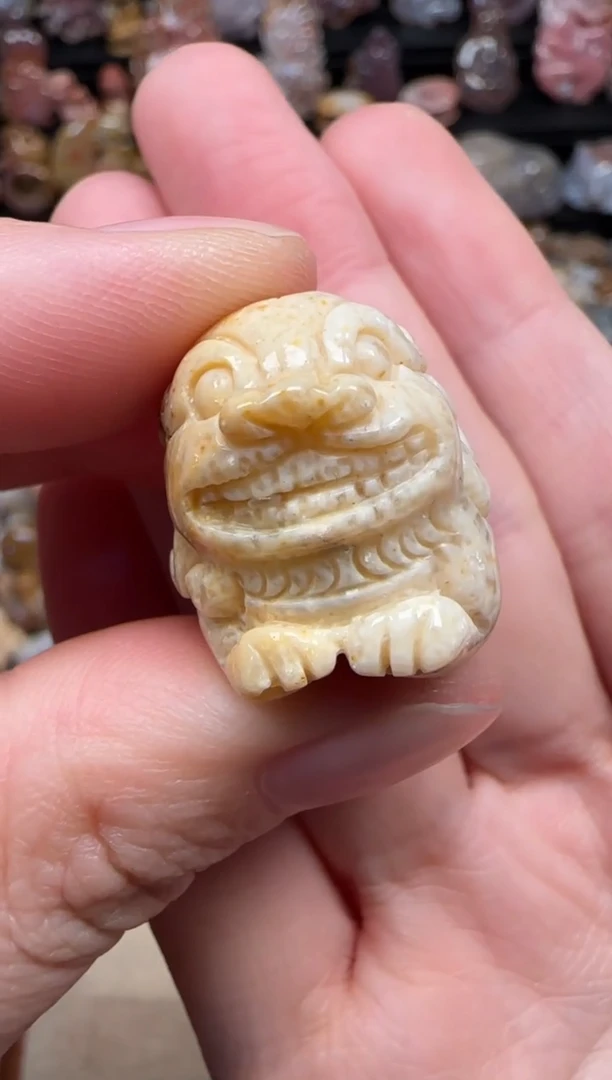 颈饰未镶嵌硅化珊瑚（珊瑚玉）298