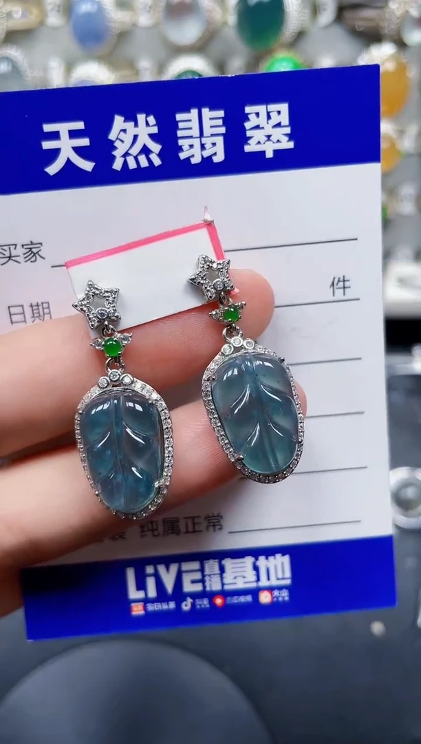 银S925镶嵌翡翠耳饰284