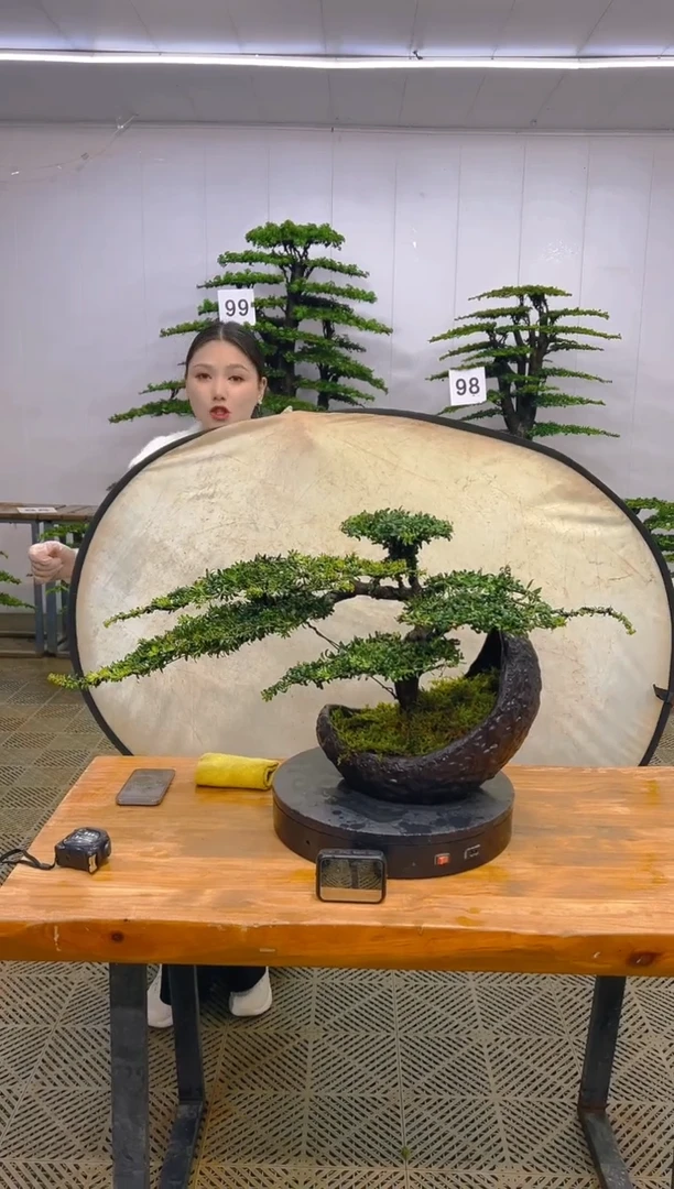 无花朵一物一拍一物一拍