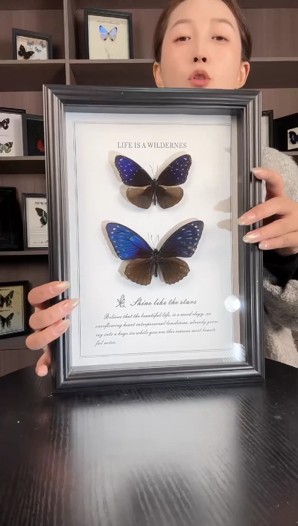 实木竖款异型紫斑蝶和翠蓝斑蝶组合（蝴蝶装饰画A4框）