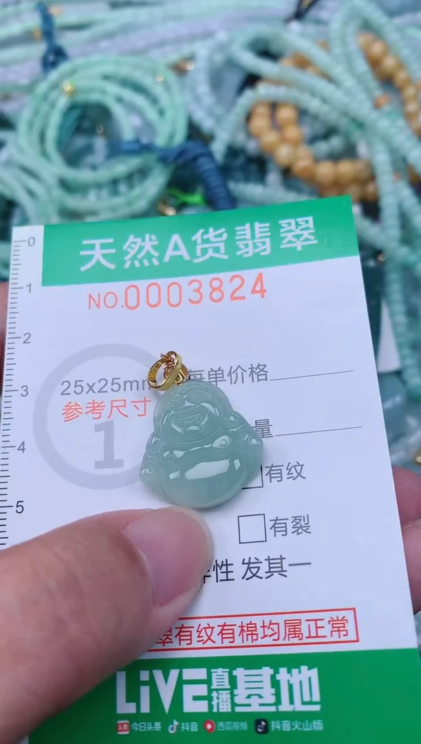 翡翠未镶嵌颈饰.0003824