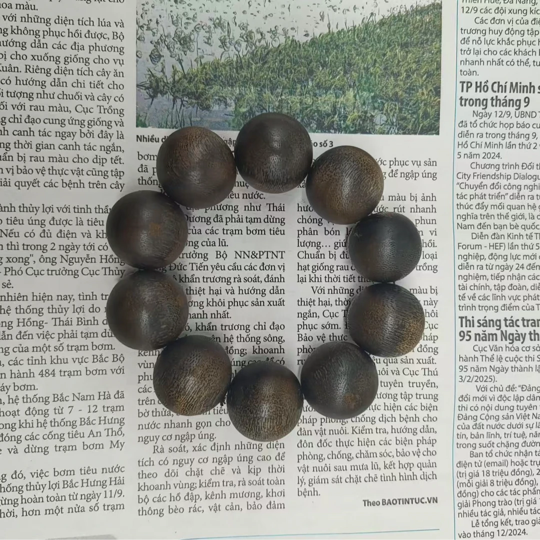 JXA-DBA15-A18海南莺歌绿棋沉香手串（多样性发货）