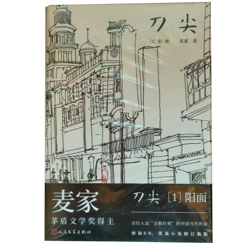 麦家小说：刀尖（共二册）