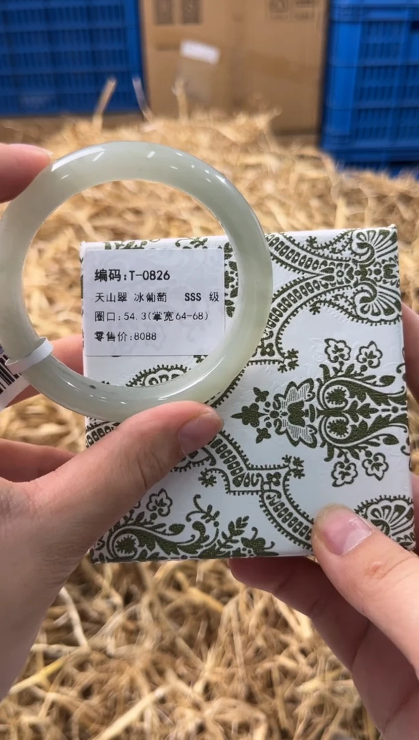 未镶嵌手镯石英质玉T-0826