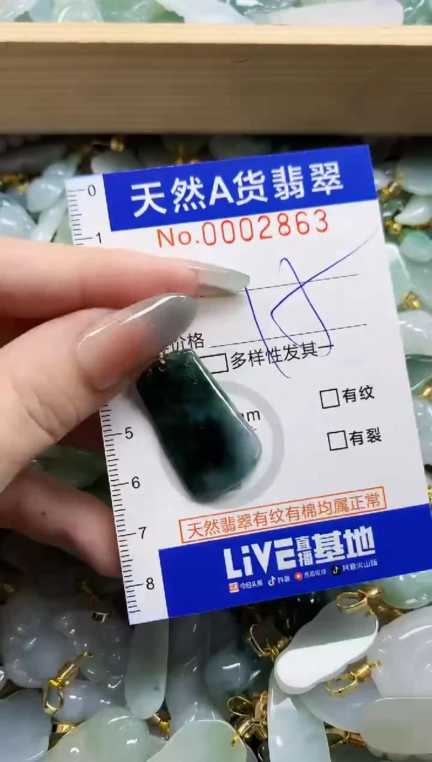 颈饰未镶嵌翡翠天然A货翡翠