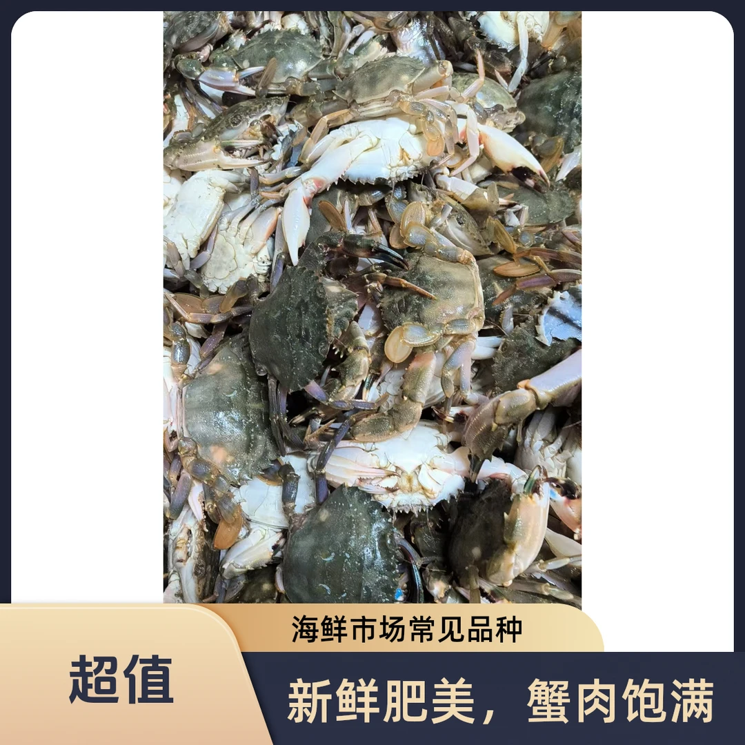 渤海湾花盖蟹3斤顺丰包邮海鲜