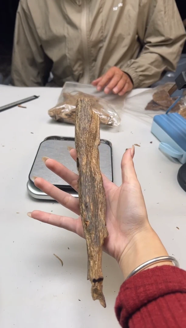 【闪购商品】沉香摆件奇楠虫漏摆件43克多样性发一