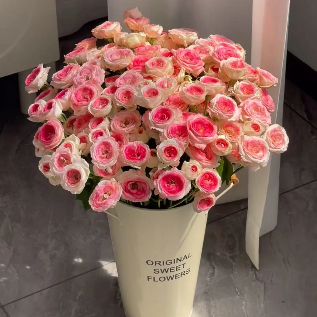 逸禾基地午夜魔法多头玫瑰鲜花基地直采直发2单顺丰包邮含保鲜剂