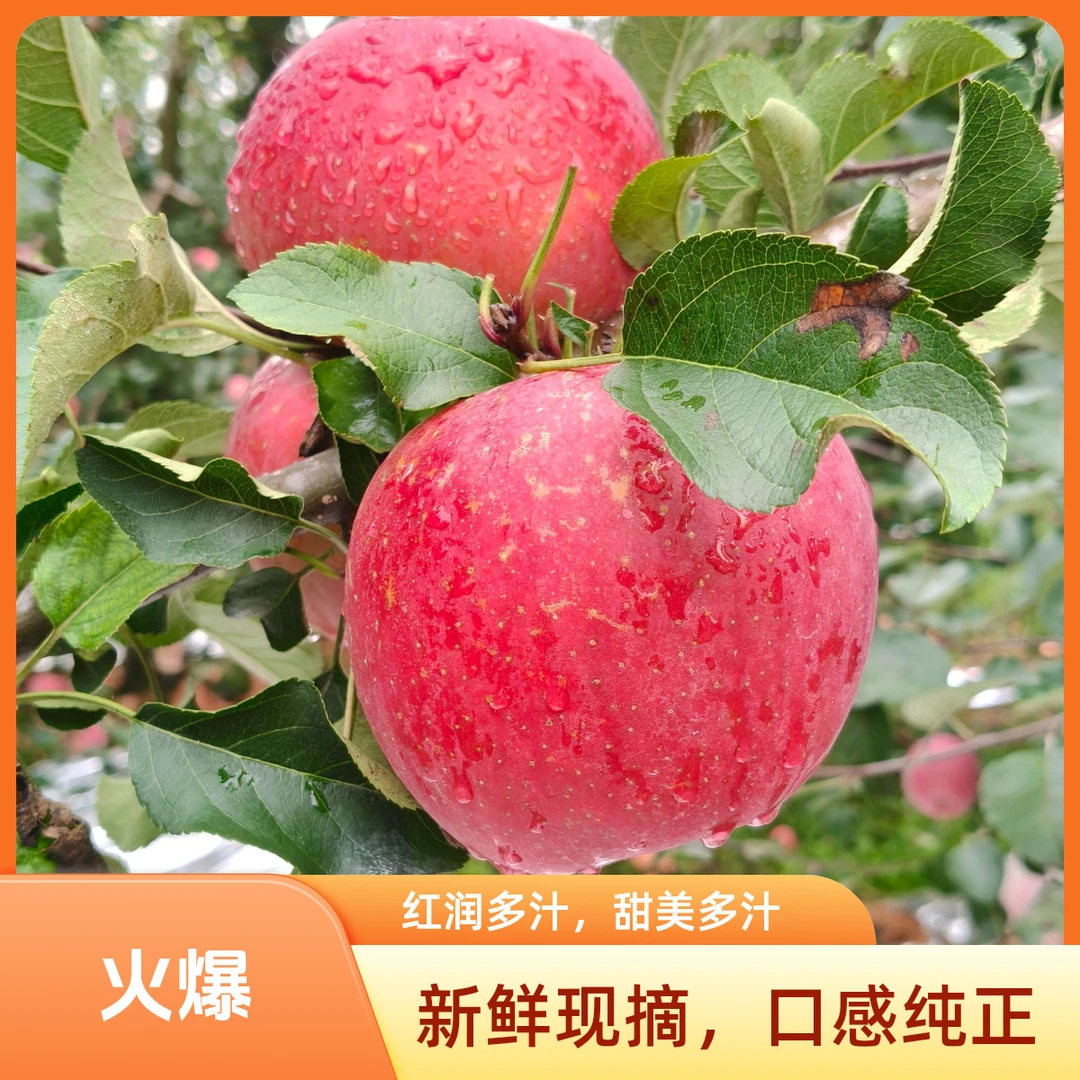 云南昭通咱家冰糖心丑苹果新鲜现摘脆甜多汁水果