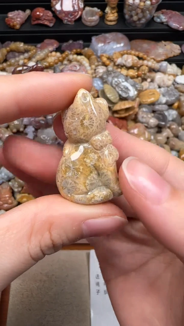 【闪购商品】硅化珊瑚（珊瑚玉）未镶嵌颈饰897