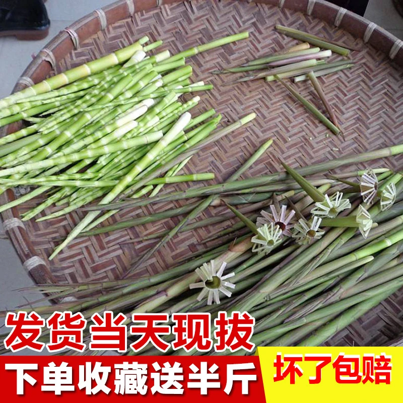 新鲜小竹笋带壳现拔现发农家春笋脆嫩甜笋蔬菜