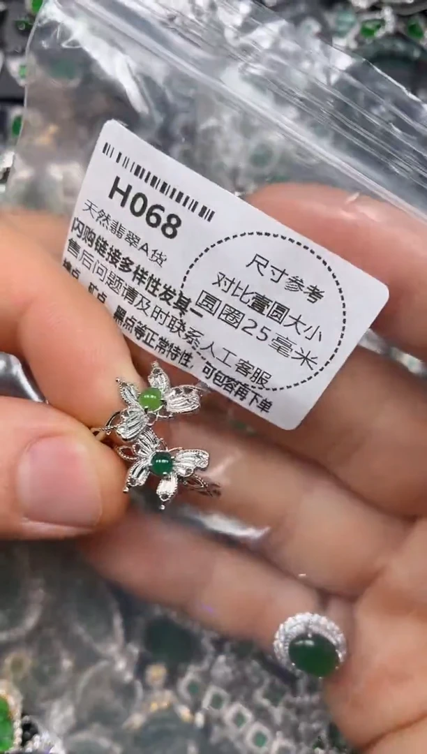 颈饰未镶嵌翡翠H068戒指