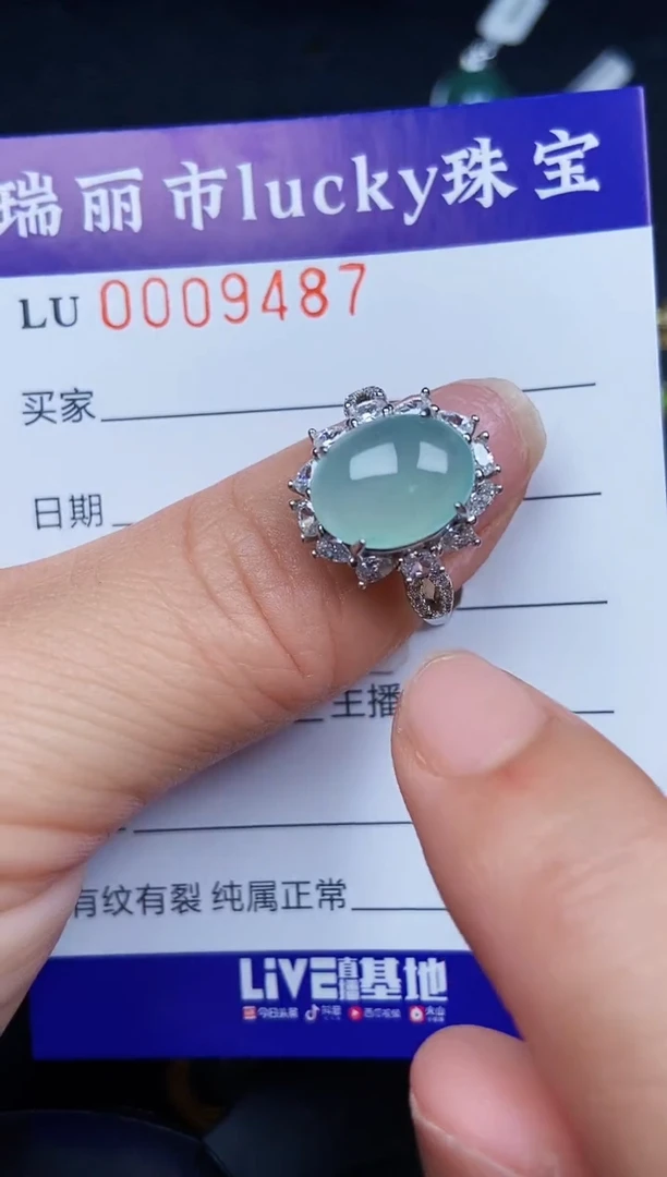 翡翠银S925镶嵌颈饰9487
