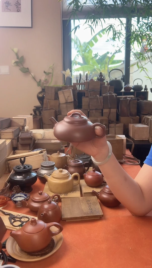一****虎一个紫砂哈哈