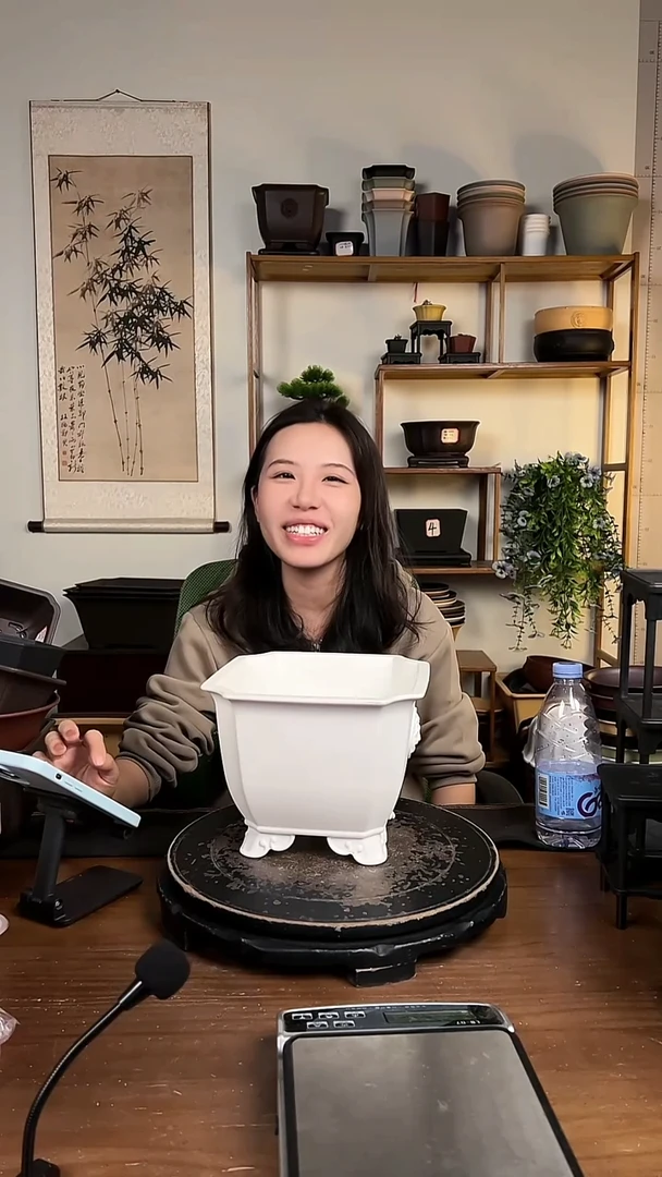 21*16切角狮头2只白色不带底座