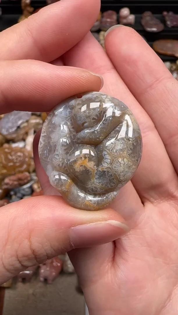 硅化珊瑚（珊瑚玉）未镶嵌颈饰516
