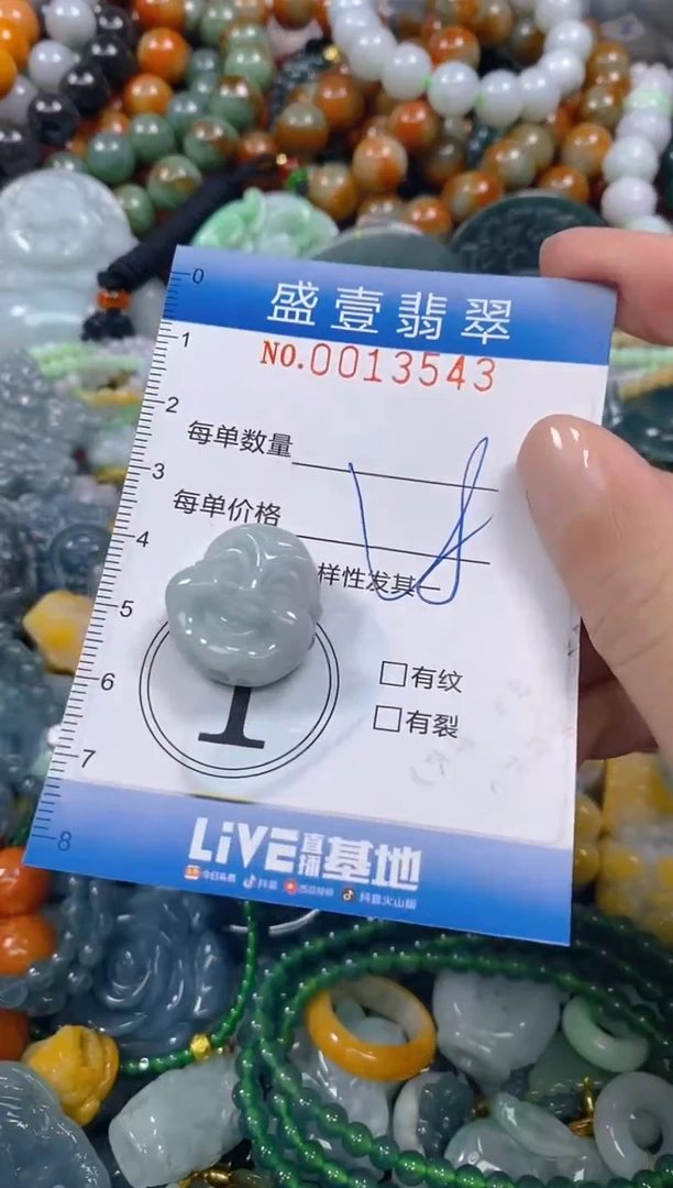 颈饰未镶嵌翡翠闪购0013543