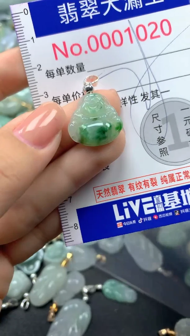 颈饰未镶嵌翡翠1020