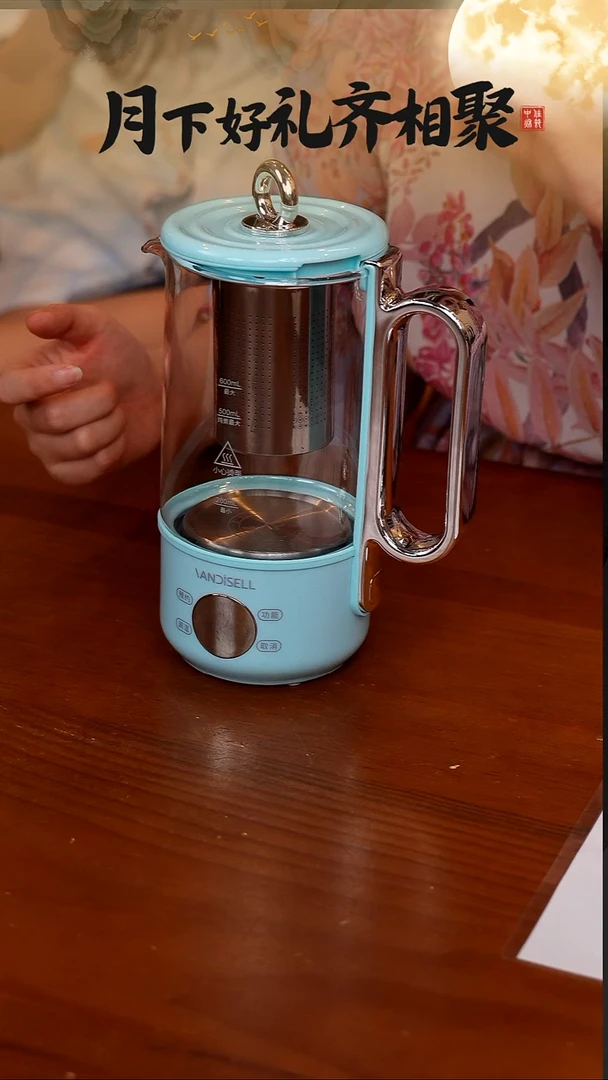 72-钛养生壶小型迷你煮茶壶600mL