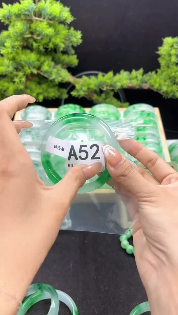 A52 抓紧去拍哦小宝！！