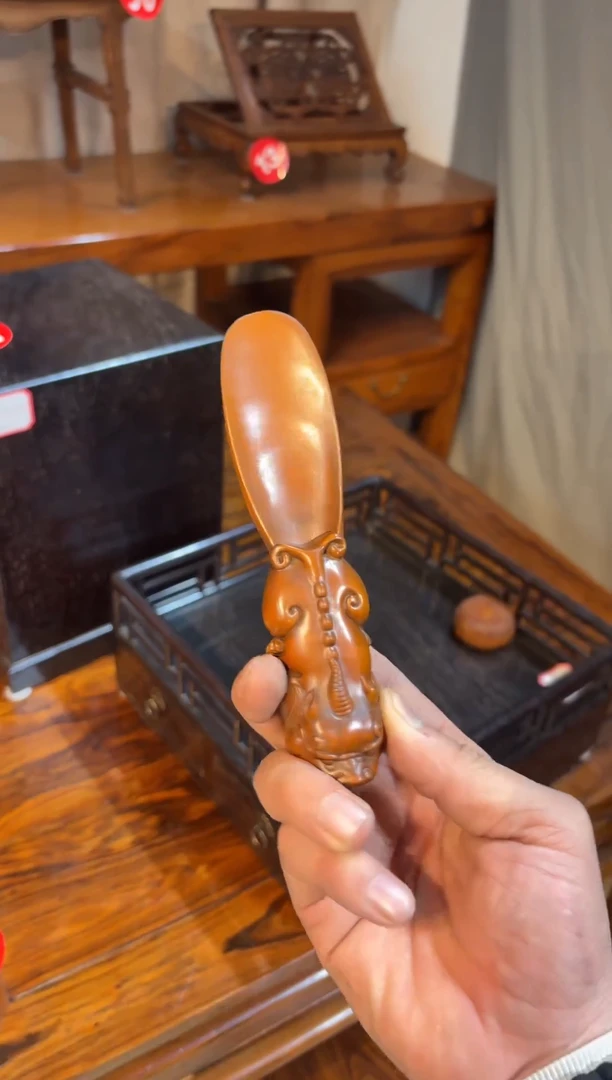 木木黄杨茶泽木木