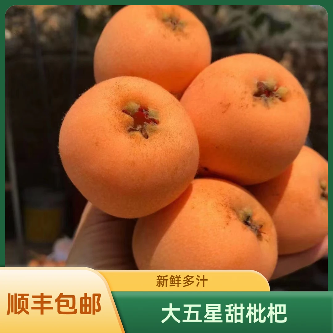 【顺丰包邮】四川高山现摘大五星枇杷大果当季新鲜甜枇杷