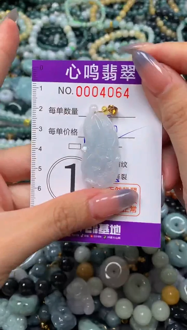 颈饰未镶嵌翡翠闪购004044