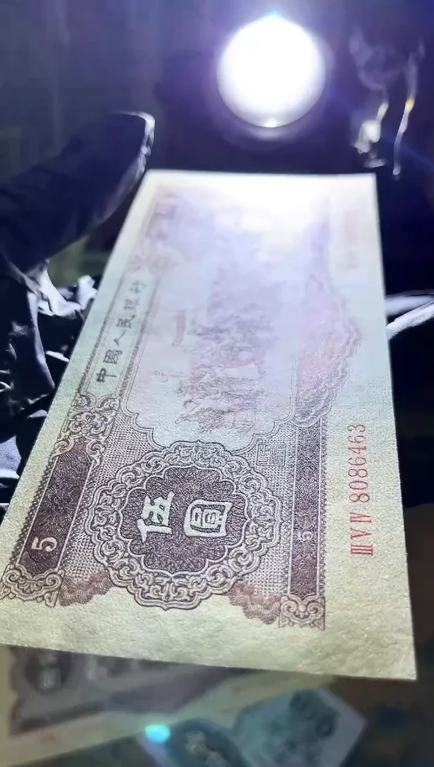 【闪购商品】纸带评级机构-黄五元单张不挑号