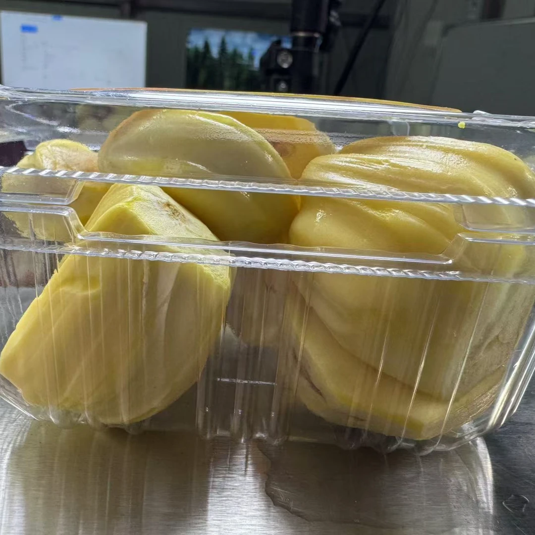 菠萝蜜肉 4盒装约1000g【开心裹京东送货到家】【好东西】