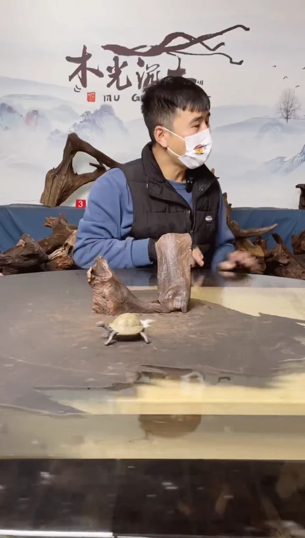 【闪购商品】A852木光沉木木光沉木