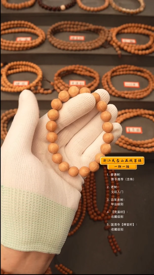 吊坠五线菩提手串