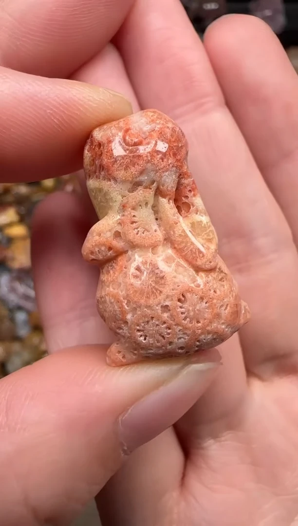 硅化珊瑚（珊瑚玉）未镶嵌颈饰580