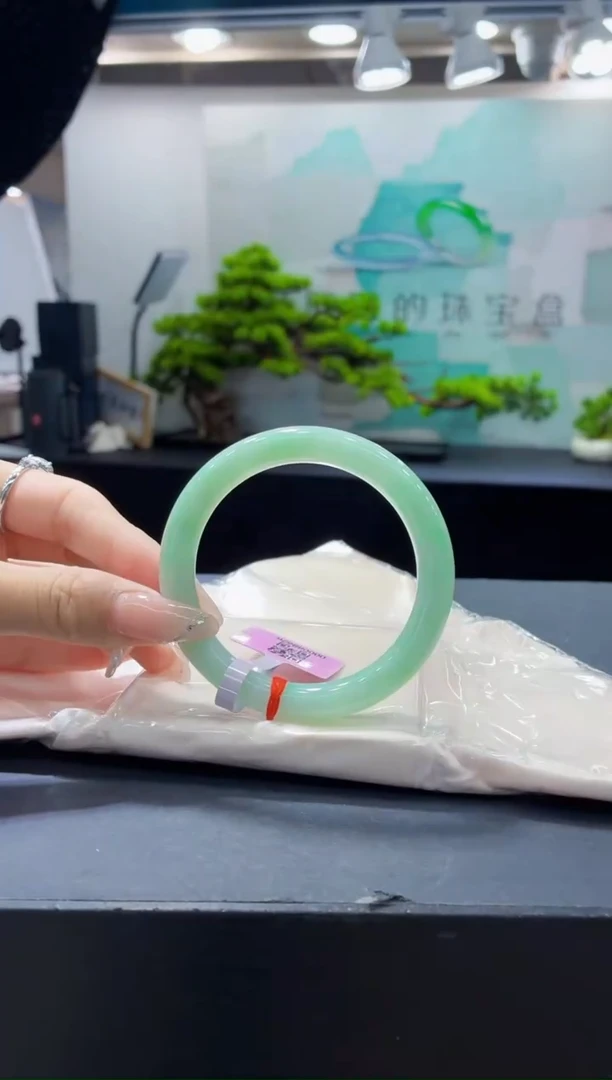 未镶嵌手镯翡翠2
